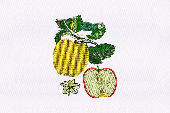 Apple and Half Apple Embroidery Design