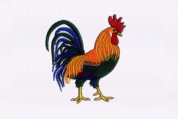 Brahma Chicken Embroidery Design